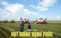 VTV Đặc biệt "Hạt giống hạnh phúc" phát sóng cùng lúc tại Việt Nam và Cuba vào ngày 2/9