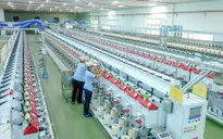 Xây dựng khung tiêu chí xuất xứ hàng hóa: Bước đi chiến lược bảo vệ thương hiệu Việt