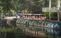 Sống khỏe cùng thiên nhiên