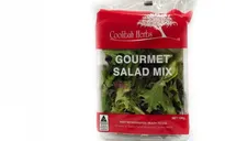 Singapore thu hồi salad nhập khẩu do phát hiện vi khuẩn vượt mức cho phép