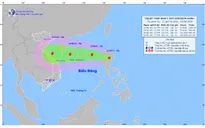 Chủ động ứng phó áp thấp nhiệt đới có khả năng mạnh lên thành bão số 5