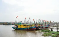 Ninh Bình cấm tàu, thuyền ra khơi từ 7h ngày 24/8 để tránh bão số 5