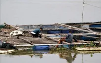 Bão số 5 khả năng ảnh hưởng trực tiếp tới các tỉnh Nghệ An, Hà Tĩnh, phía Bắc Quảng Trị
