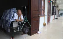 Từ chiến trường đến Long Đất: Nơi những người lính già tìm thấy bình yên
