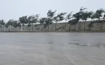 Các địa phương báo cáo Bộ Chính trị, Ban Bí thư về ứng phó bão số 5