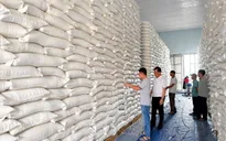 Dự trữ Nhà nước sẵn sàng xuất cấp hàng cứu trợ bão số 5
