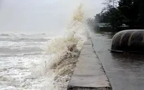 Bão số 5 di chuyển với tốc độ 20 km/h, sóng cao 5-7m biển động dữ dội