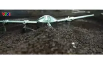 Doanh nghiệp xuất khẩu nông sản gặp khó vì quy định hoàn thuế