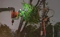 Khẩn trương xử lý sự cố, khôi phục cấp điện cho nhân dân sau bão số 5