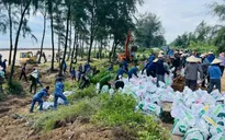 Từ Quảng Ninh đến Lâm Đồng chủ động ứng phó với vùng áp thấp có khả năng mạnh lên