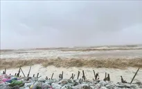 Bão số 5: Hơn 16.000 ha cây trồng ở Bắc Trung Bộ bị ngập úng
