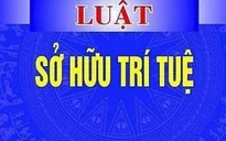 Đề xuất 5 nhóm chính sách sửa đổi, bổ sung một số điều của Luật Sở hữu trí tuệ