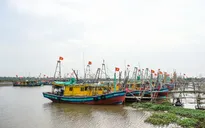 Kêu gọi tàu thuyền về khu neo đậu, tránh trú an toàn