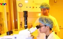 Việt Nam là đối tác phát triển phần mềm lớn thứ 2 của Nhật Bản