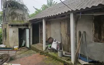 Trái tim nhỏ bé cần một phép màu