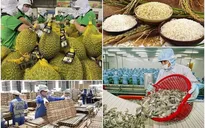 Thủ tướng yêu cầu tăng cường truy xuất nguồn gốc, đảm bảo chất lượng nông, lâm, thủy sản xuất khẩu