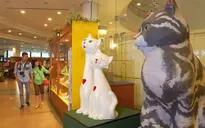 Độc đáo Bảo tàng Mèo ở Malaysia