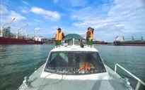Khẩn trương tìm kiếm ngư dân mất tích trên biển Cửa Lò