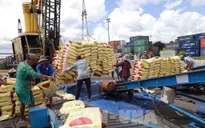 Việt Nam đã xuất khẩu gần 5,9 triệu tấn gạo