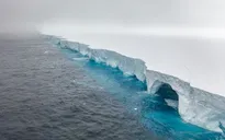 Tảng băng trôi lớn nhất thế giới tan rã sau 40 năm