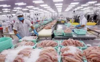 Kim ngạch xuất khẩu nông lâm thủy sản vượt 45 tỷ USD sau 8 tháng