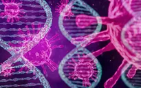 Hy vọng điều trị ung thư nhờ “virus ẩn” trong DNA người