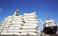 Philippines tạm dừng nhập khẩu gạo, Bộ Công Thương khuyến cáo doanh nghiệp