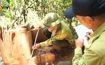 Vụ phá rừng tại Vườn Quốc gia Ba Bể: Khởi tố, bắt tạm giam 14 bị can