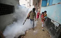 Bangladesh đối mặt nhiều bệnh truyền nhiễm do muỗi