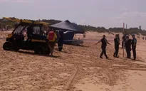 Hy hữu cá mập tấn công gây chết người ngoài khơi Sydney