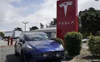 Thị phần của Tesla tại Mỹ rơi xuống mức thấp nhất kể từ năm 2017
