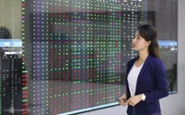 Gần 260.000 tài khoản chứng khoán mở mới trong tháng 8