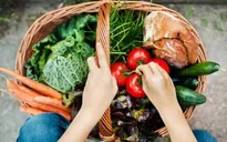 7 loại thực phẩm bạn nên ăn mỗi ngày
