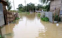 Ba tỉnh, thành phố Phú Thọ, Bắc Ninh, Hải Phòng đảm bảo an toàn đê điều ứng phó lũ