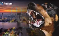 Thái Lan tuyên bố khẩn cấp vùng dịch tạm thời do bùng phát bệnh dại