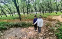 Bắt nam thanh niên nhiều lần xâm hại bé gái 12 tuổi ở Đồng Nai