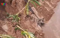 Tam Nông (Phú Thọ) mất 3/4 đất bãi bồi vì sạt lở, nhiều hộ dân phải tháo dỡ nhà
