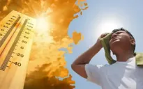 Nguy hiểm: Suy thận cấp do làm việc ngoài trời nắng nóng