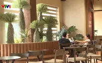 Nhà hàng, quán cà phê Hà Nội giảm rác thải nhựa, tăng không gian xanh