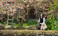 Bác bỏ thông tin sai sự thật về giá dịch vụ du lịch tại thôn Lô Lô Chải