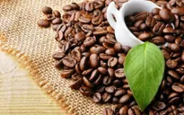 EVFTA: Cơ hội vàng cho hàng Việt vươn xa