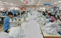 Doanh nghiệp Việt hướng tới thị trường xuất khẩu mới