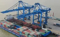 Xuất khẩu của Ấn Độ sang Mỹ lao dốc do chính sách thuế quan
