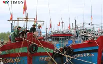 Từ Quảng Ninh đến Đắk Lắk chủ động phòng tránh, không để tàu thuyền vào vùng nguy hiểm bão số 8