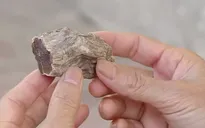 Thủ đoạn bán “củ thuốc quý” trong bệnh viện của các đối tượng lừa đảo