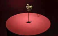 Bảo tàng Pháp bị đánh cắp mẫu vật vàng trị giá 600.000 Euro