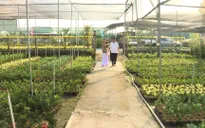 TP Hồ Chí Minh: Ứng dụng công nghệ cao để có nông sản sạch