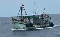 Cảnh sát biển 3 kịp thời cấp cứu ngư dân bị rắn biển cắn