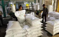 Làn sóng giảm giá 'phủ bóng' thị trường nông sản thế giới