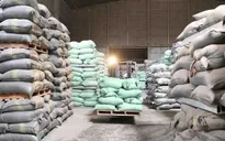 Hoàn thành kế hoạch đấu thầu 200.000 tấn gạo dự trữ quốc gia